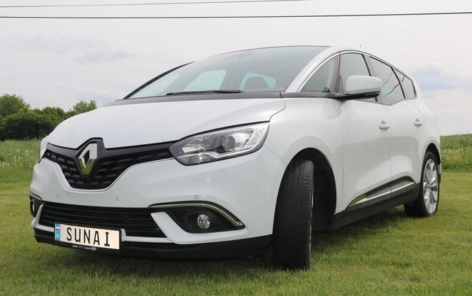 Renault Grand Scenic cena 64300 przebieg: 129801, rok produkcji 2019 z Rydzyna małe 704